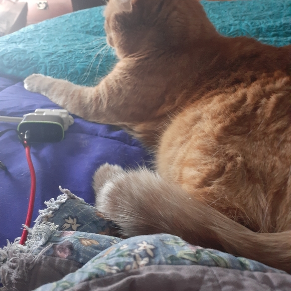 Meet your Posher, Karen - Picture 4 of 4